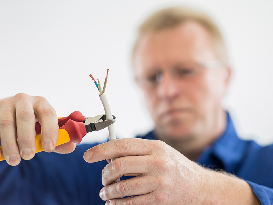 C F021729 bei EBA Elektro- und Beleuchtungsanlagen GmbH in Artern